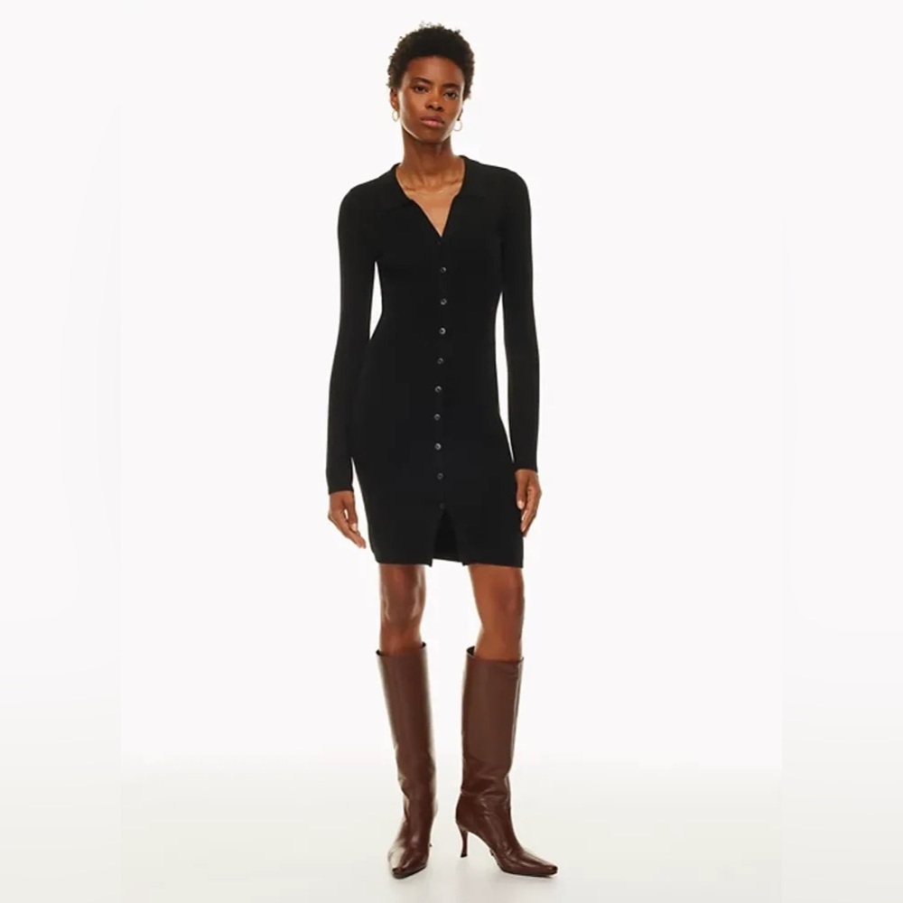 NWOT Aritzia Wilfred Cove Dress